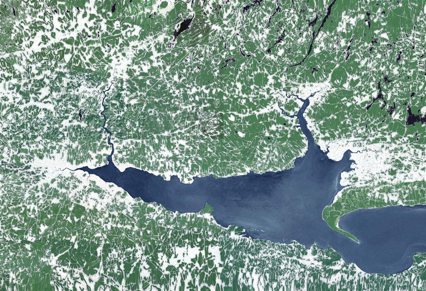 Alex Fischer, Mouth, 2012 digital painting