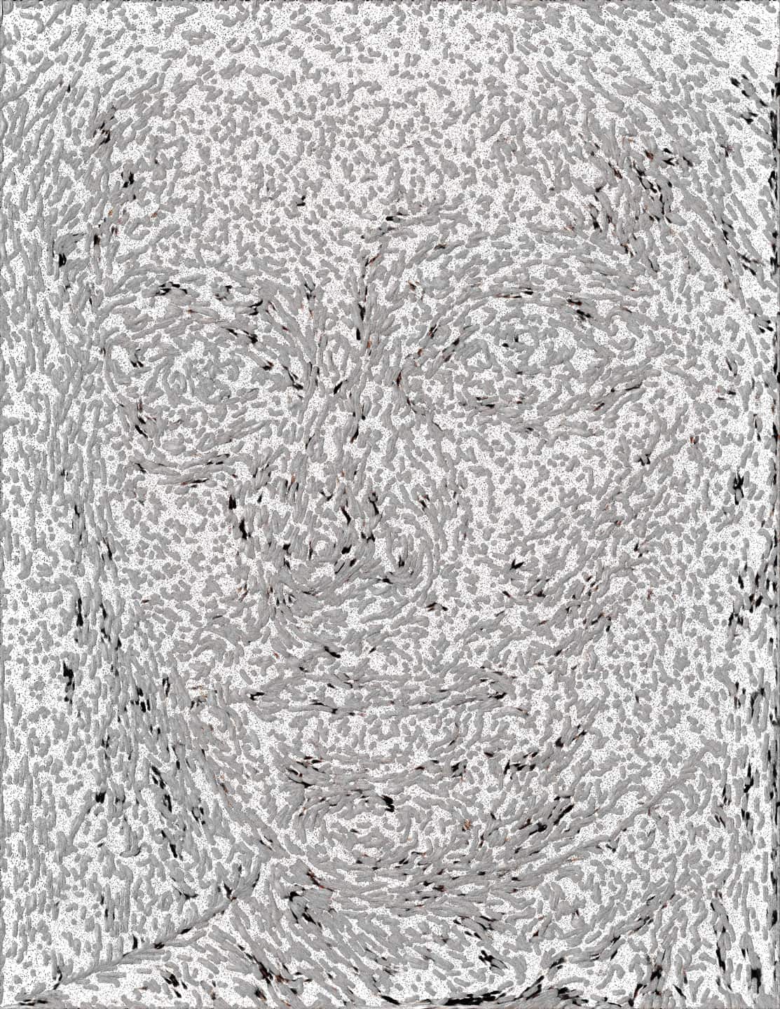 Alex Fischer, Emily, 2016-21-14 digital