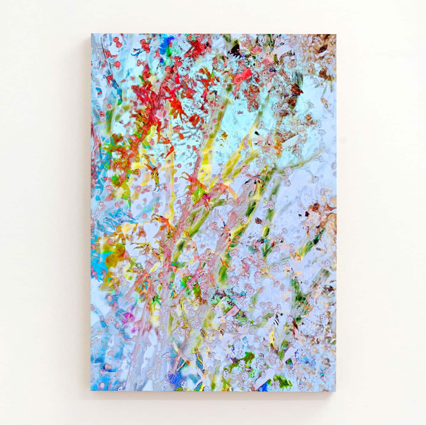 Alex Fischer, Corel Bleaching, 2017-12-22 digital composite