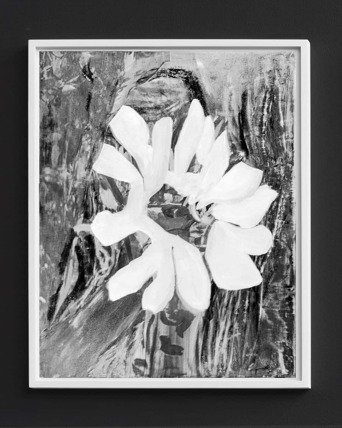 Alex Fischer, Super Seed BWB, 2021-01-04 digital composite