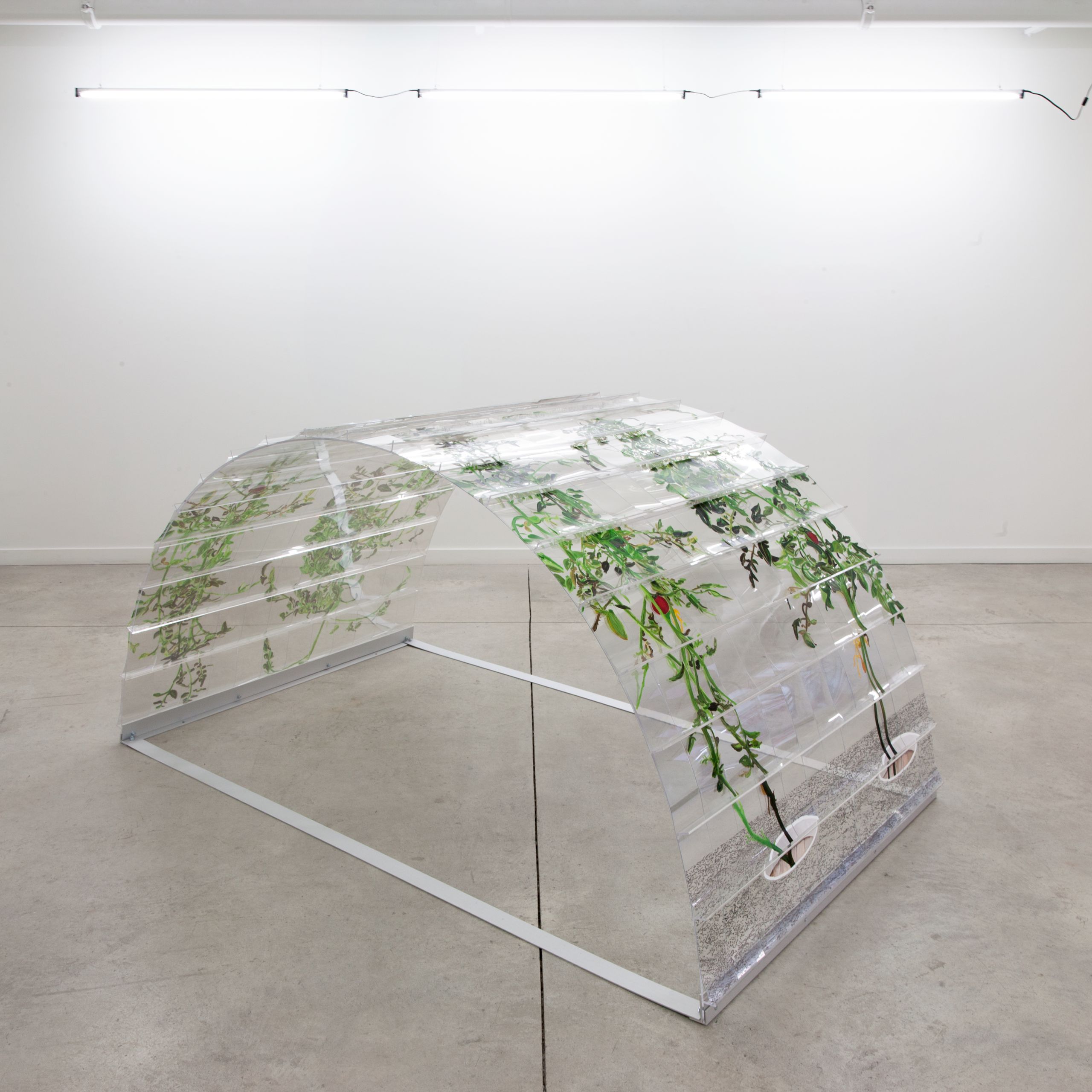 VII 6000 Arch, 20150226