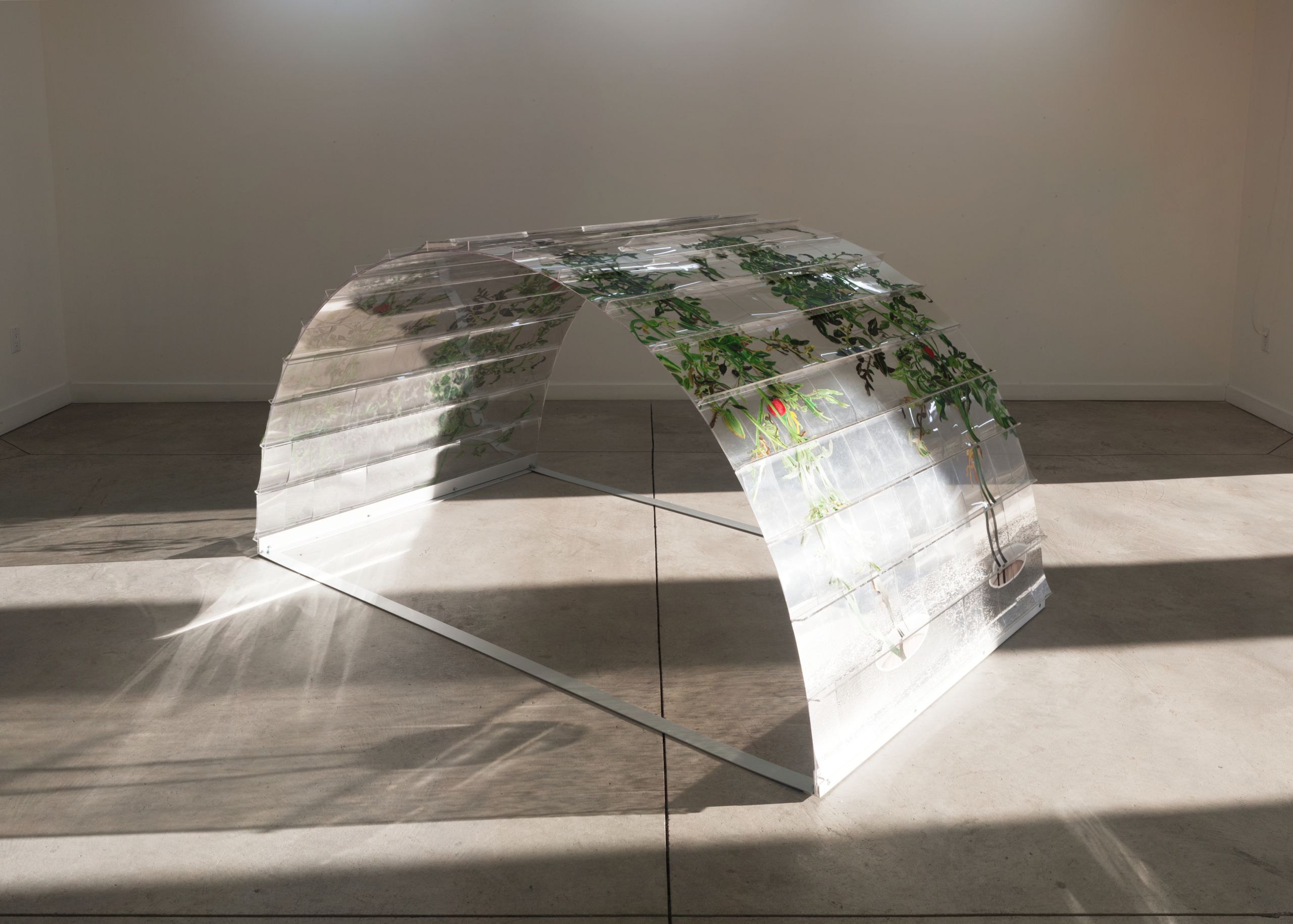 VII 6000 Arch, 20150226