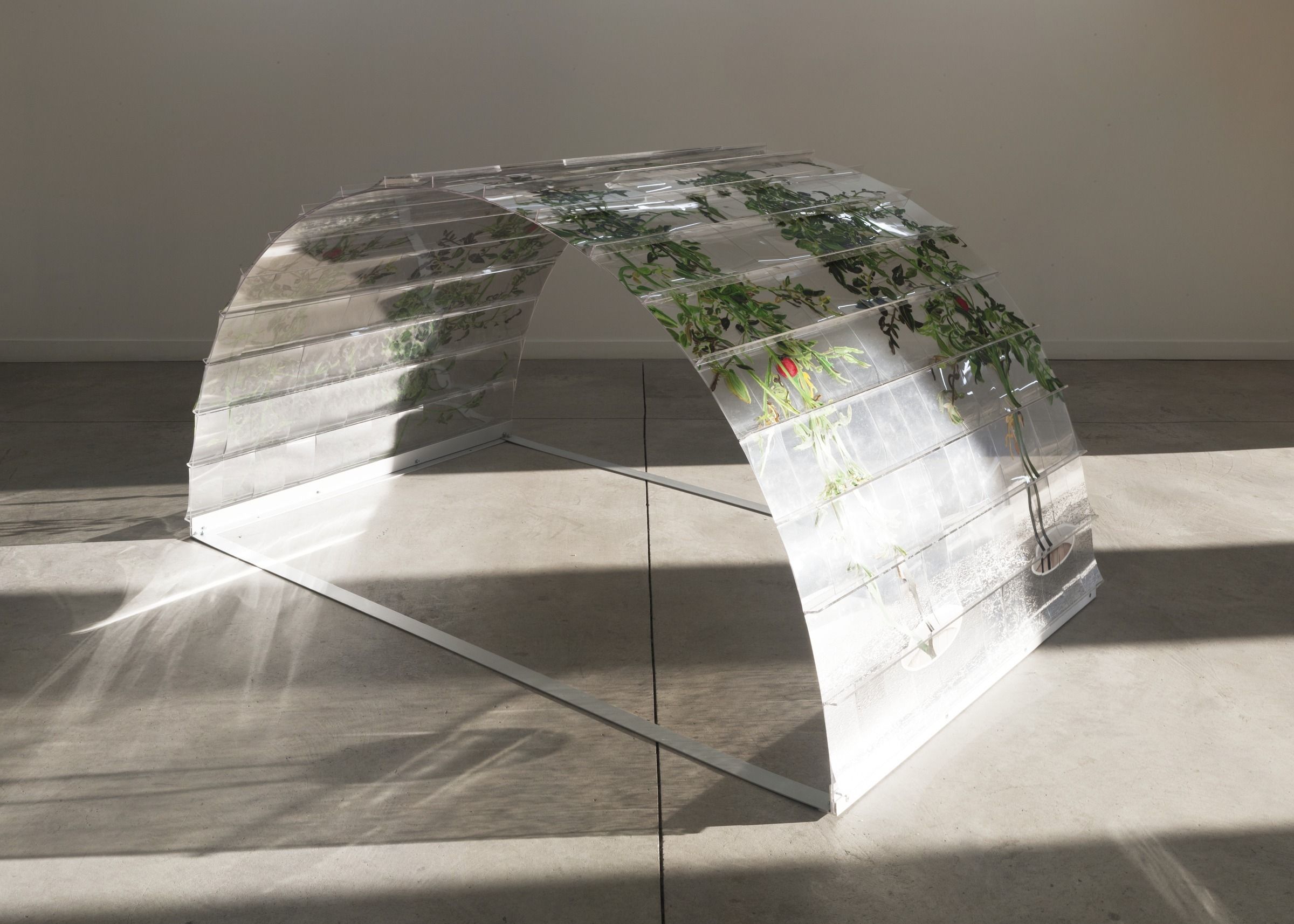 VII 6000 Arch, 20150226