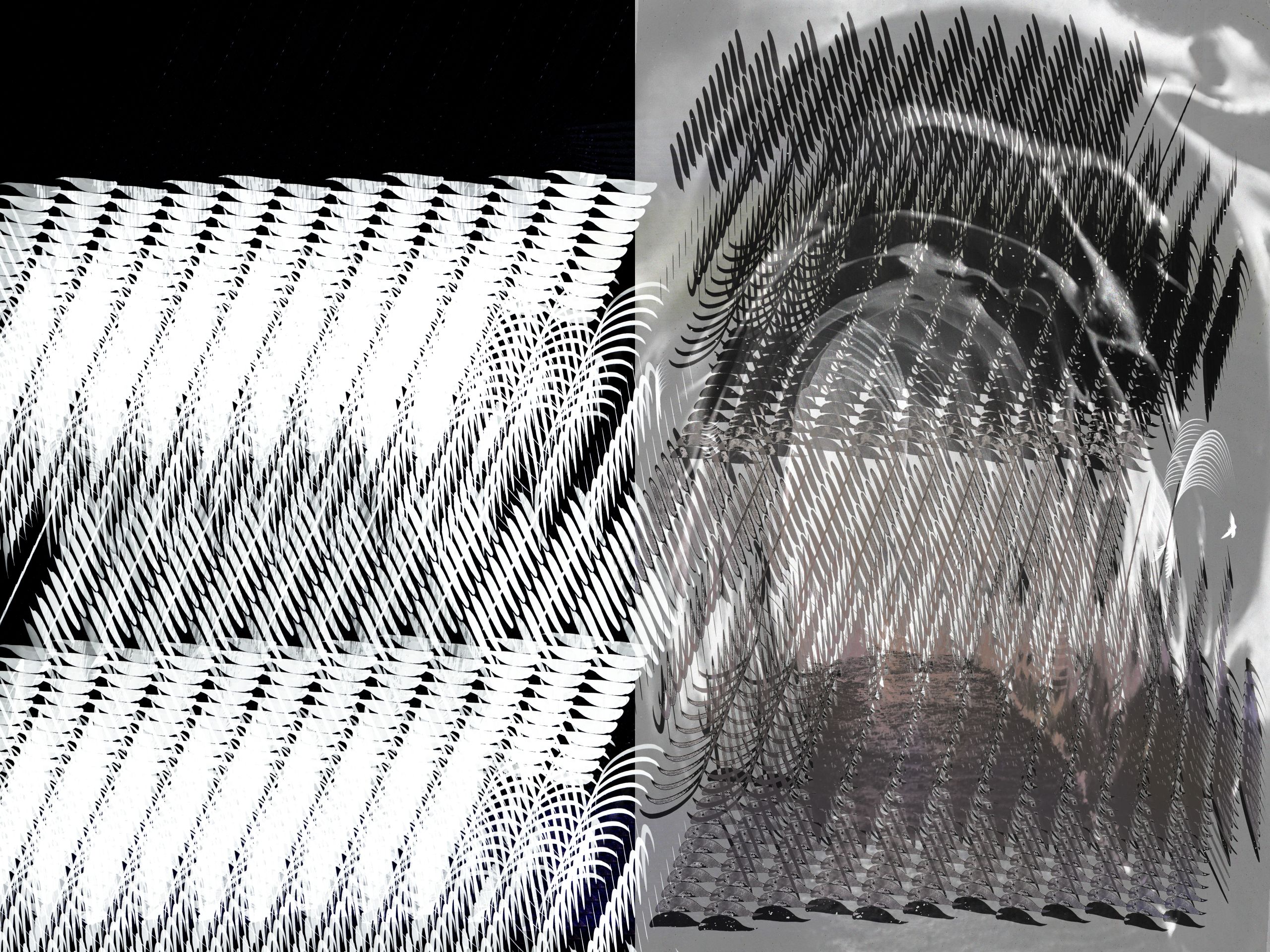 Untitled, 20140611