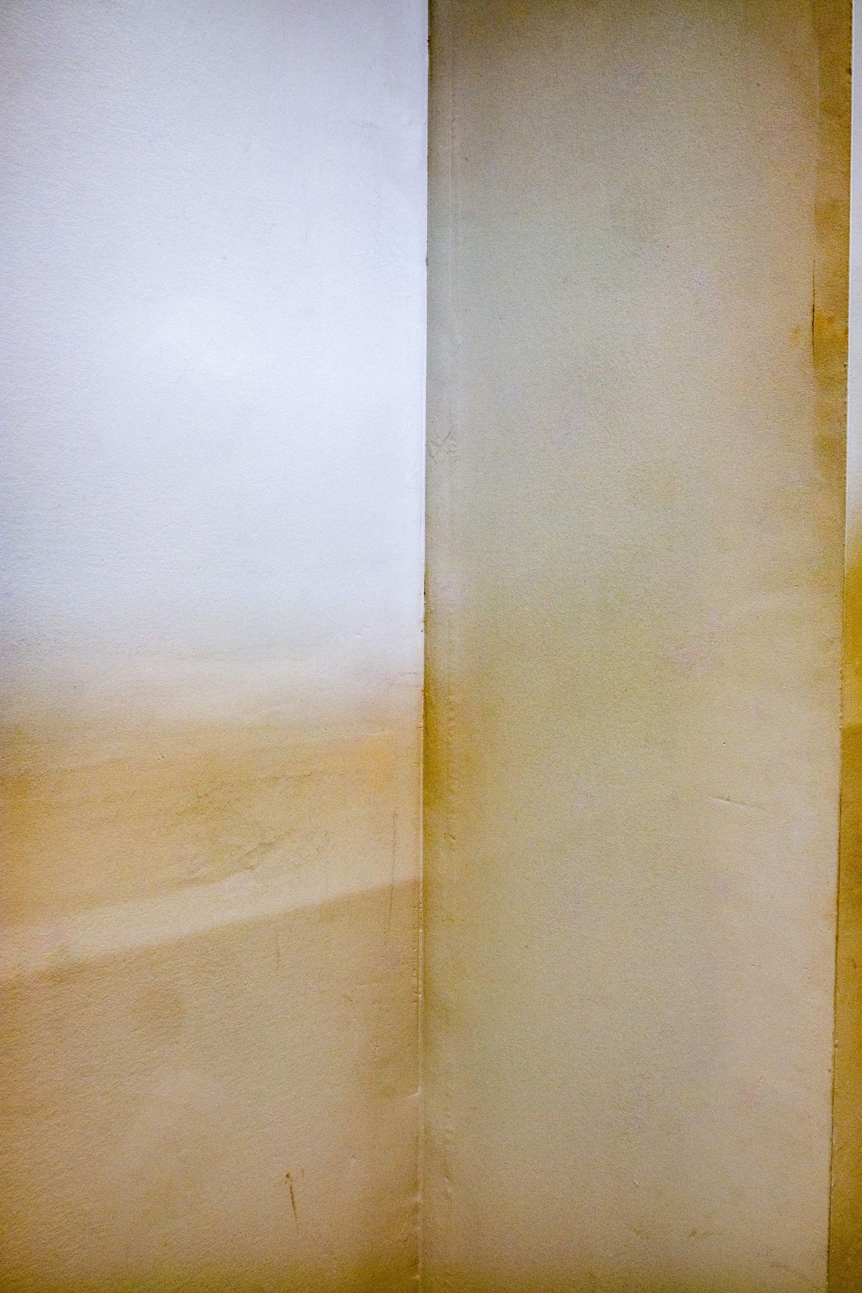 Untitled [GTZ5700], 20250819