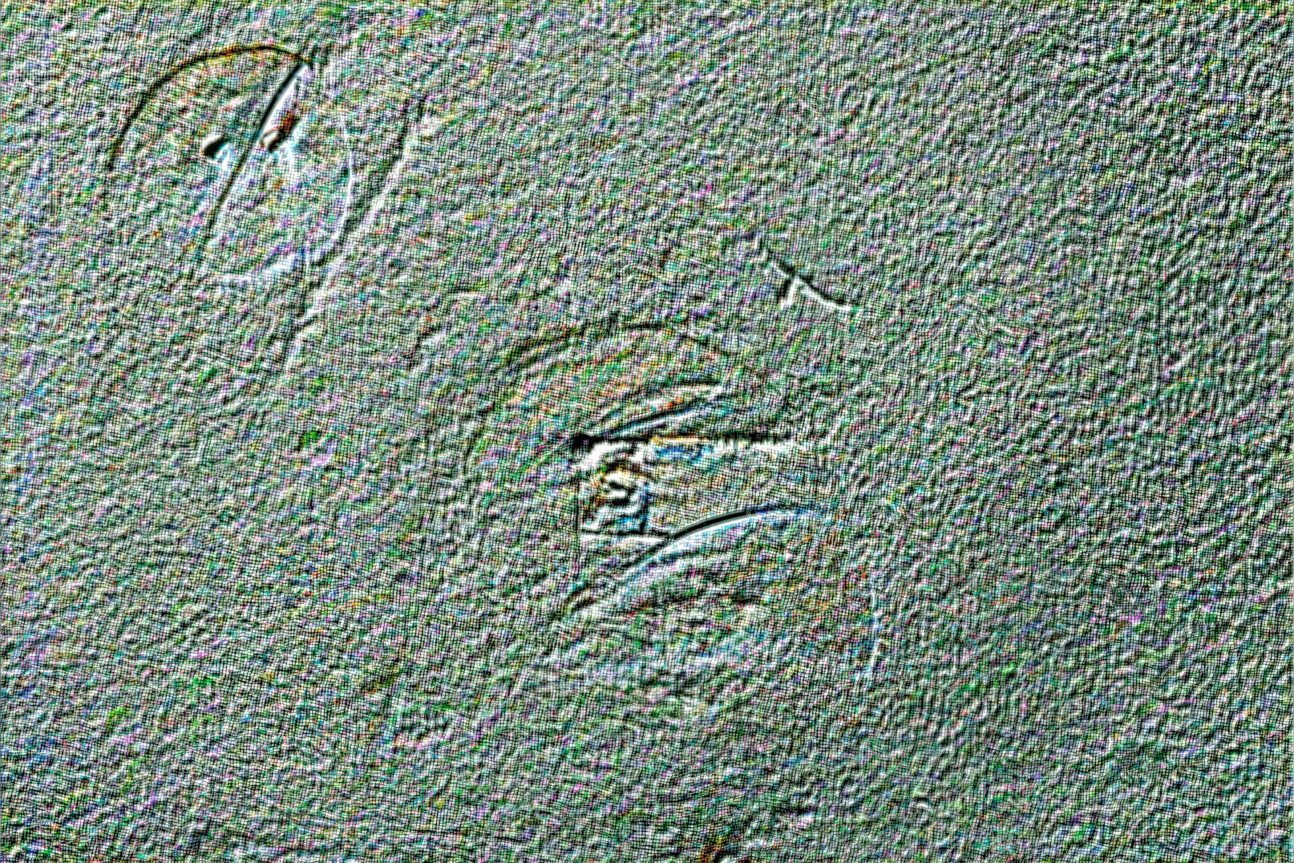 Untitled [Untitled-1], 20250819