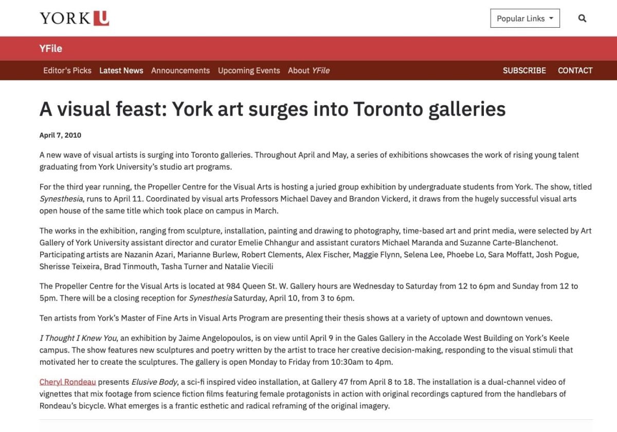 Installation view, A visual feast - York art surges into Toronto galleries, 2010