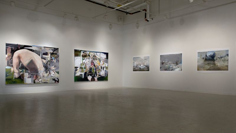 Installation view, Backwater Resolution, 20090201 — The Syncretist, Fair Diplopia, Jeff Wall Dug Me A Mountain, South West Esteem, Well Watch Twin Peaks