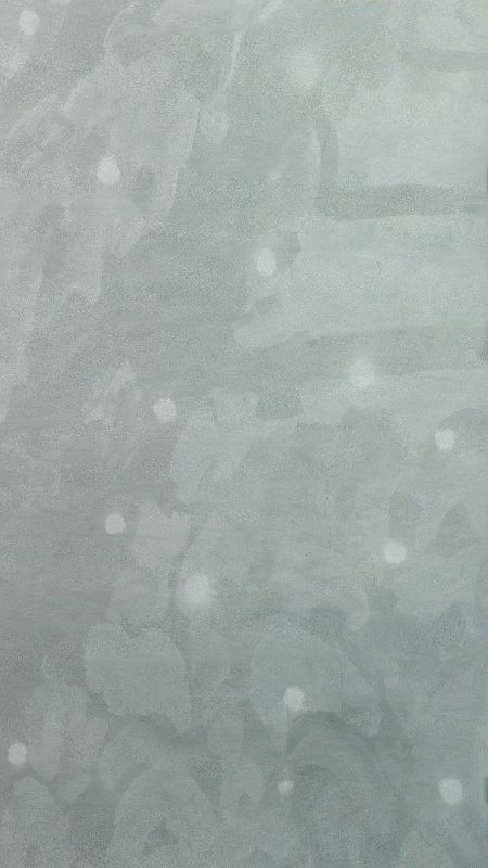 Wlp 0002, 20090511, digital image