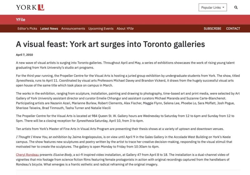 Installation view, A visual feast - York art surges into Toronto galleries, 2010