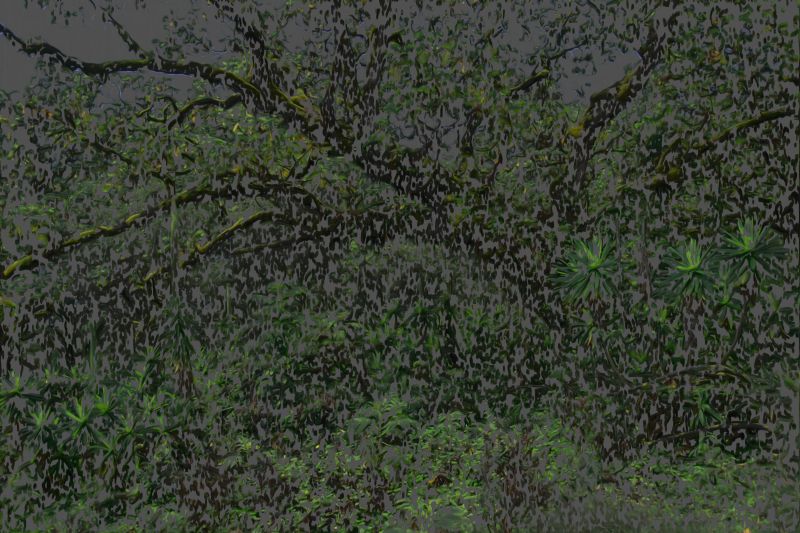 Alex Fischer, Untitled Greens, 20100313