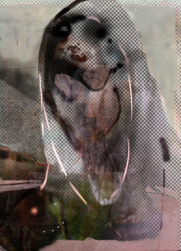 Alex Fischer, Venus, 20100313