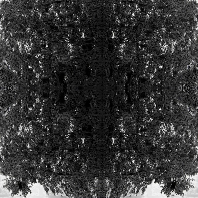 Alex Fischer, Cell Pattern, 20100422
