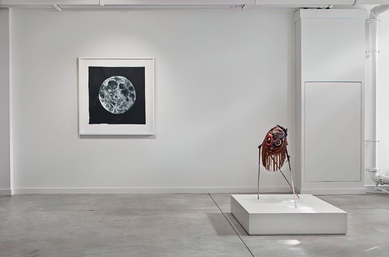 Installation view, Open Spaces & Art Toronto NEXT, 20111001