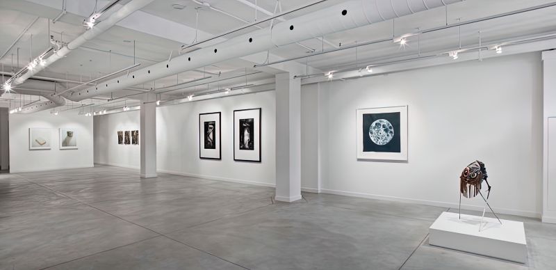 Alex Fischer, Spider From Venus, 20100309