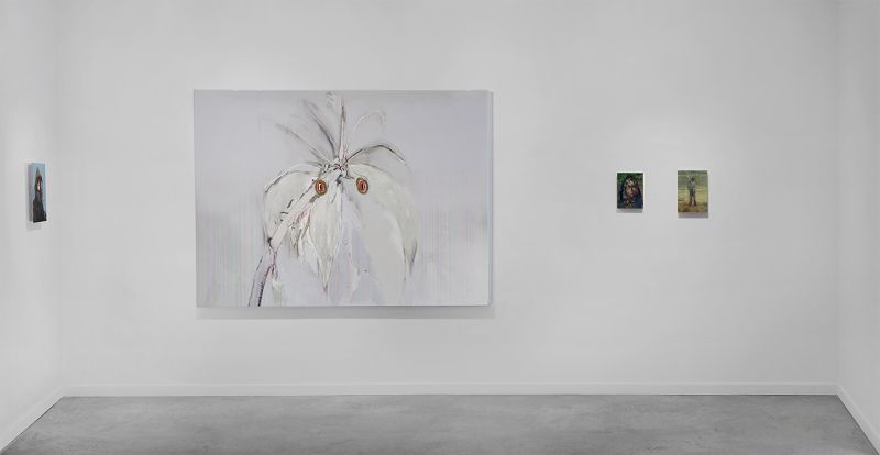 Installation view, On Now >> Alex Fischer @ O'Born Contemporary, 20101101 — Bluenose, Parrots, Myrrha, Artists Image