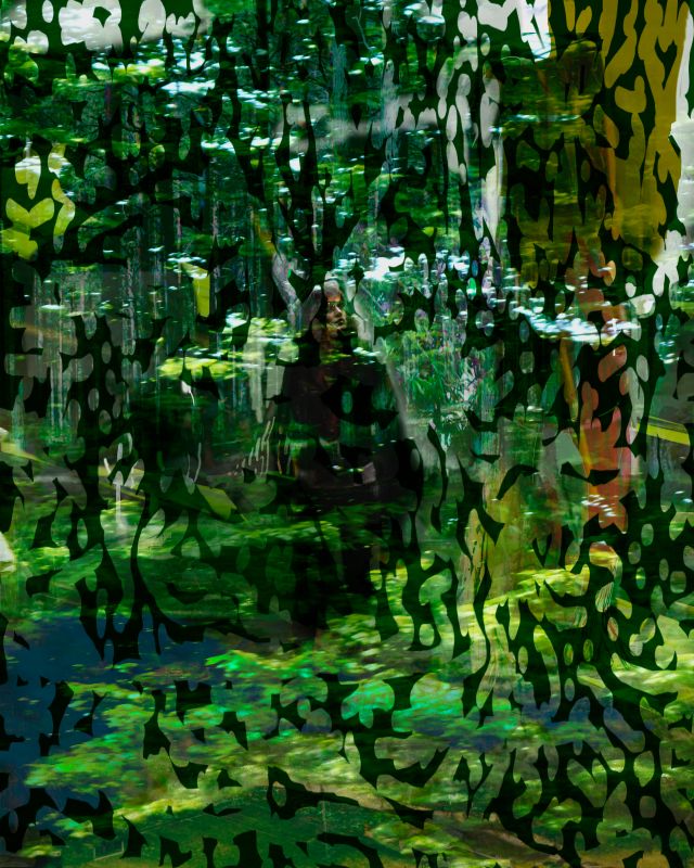 Brush Work, 20110127, 60 × 48 in (1524 × 1219 mm), digital image of luster giclée