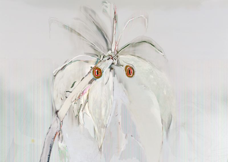 Alex Fischer, Parrots, 20110901