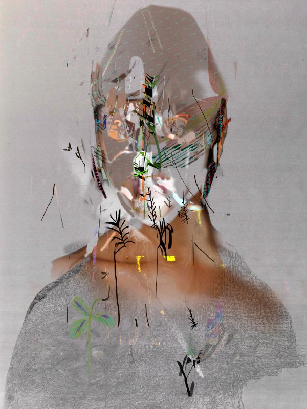 Seer, 20110909, 22 × 17 in (559 × 432 mm), digital image of matte giclée