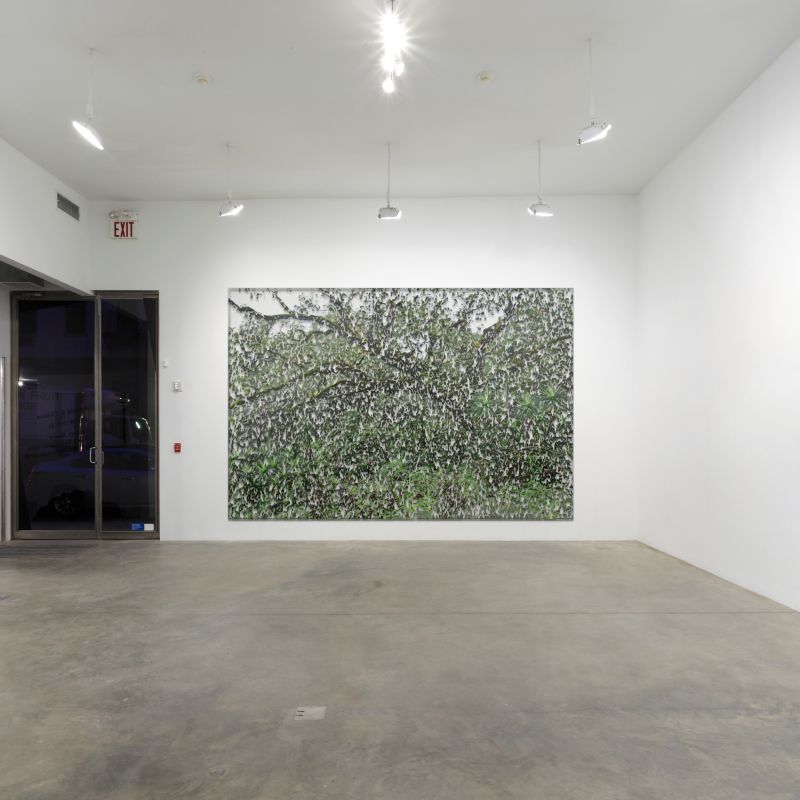 Installation view, Lemon Tea & Untitled Greens, 2023