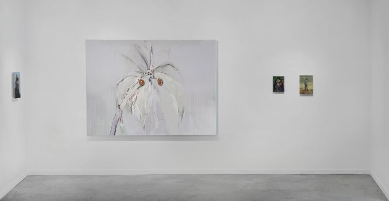 Installation view, Beyond The Fall, 20120204 — Bluenose, Parrots, Myrrha, Artists Image