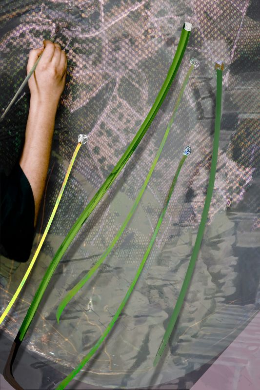 Alex Fischer, Seeding, 20120608