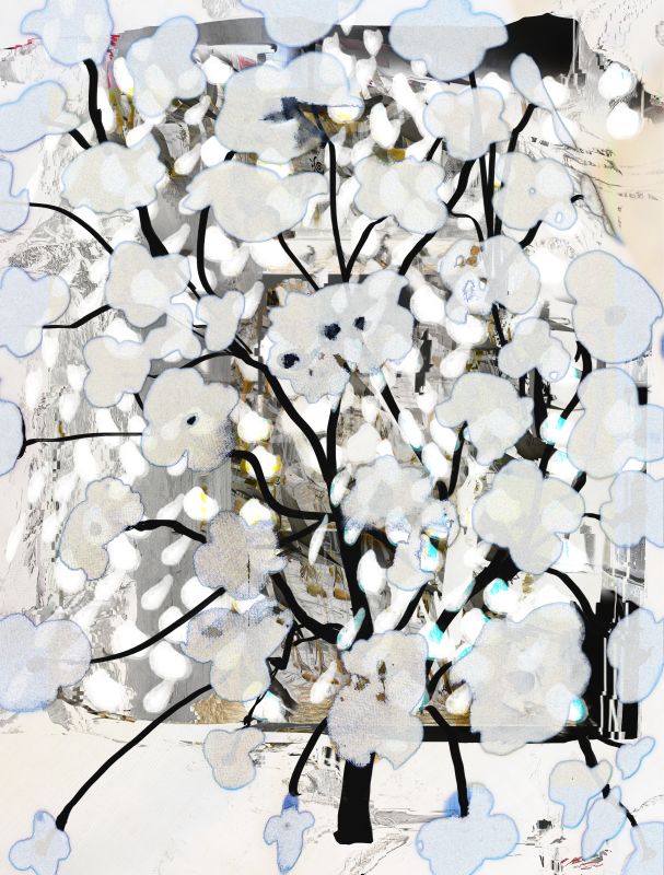On Cotton, 20120918, 15 × 12 in (381 × 305 mm), digital image of matte giclée