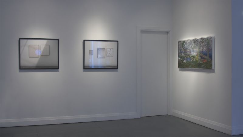 Alex Fischer, Island, 20120509
