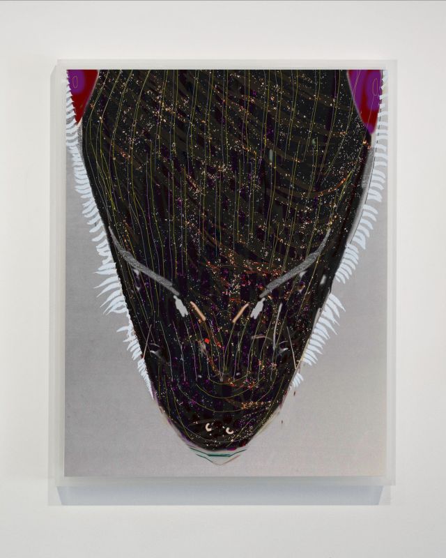 Alex Fischer, Up, 20110909