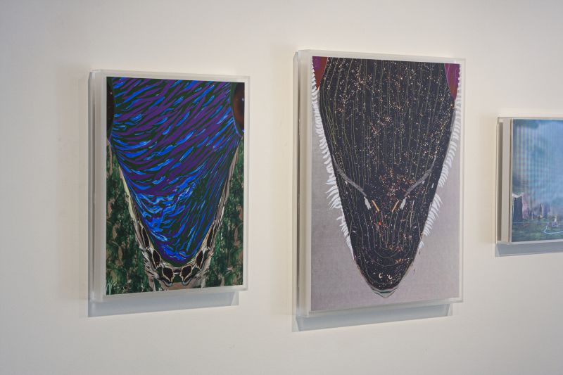 Installation view, Translation, 20130301 — Earlier, Up