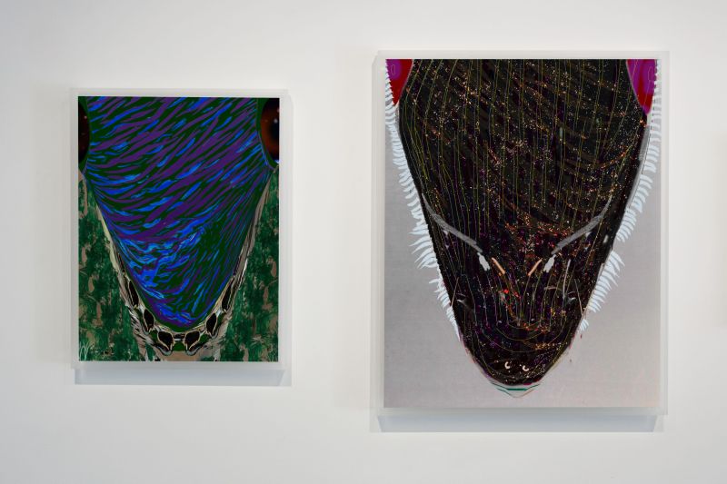 Installation view, Translation, 20130301 — Earlier, Up