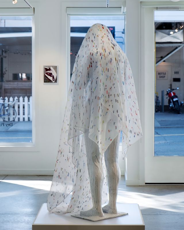 Installation view, Dry Pixels and Wet Molecules, 20131001 — Shellfish Cells, Lichen