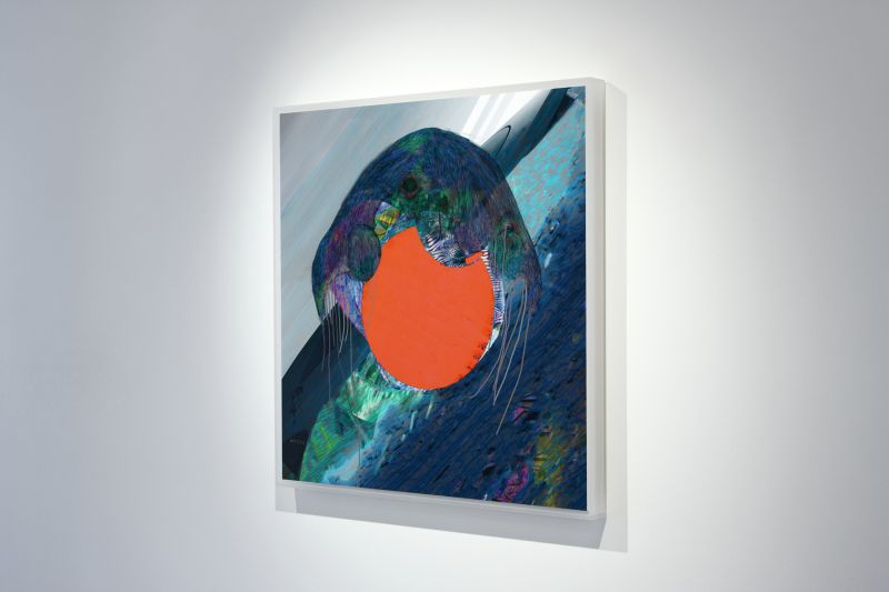 Alex Fischer, Jelly Portrait, 20130309
