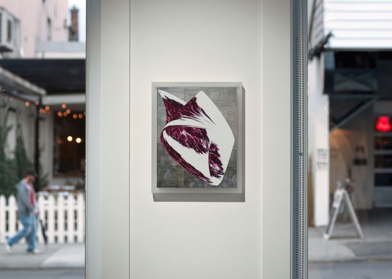 Alex Fischer, Shellfish Cells, 20131017