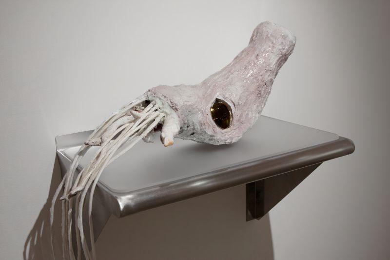 Alex Fischer, Ammonite, 20131017