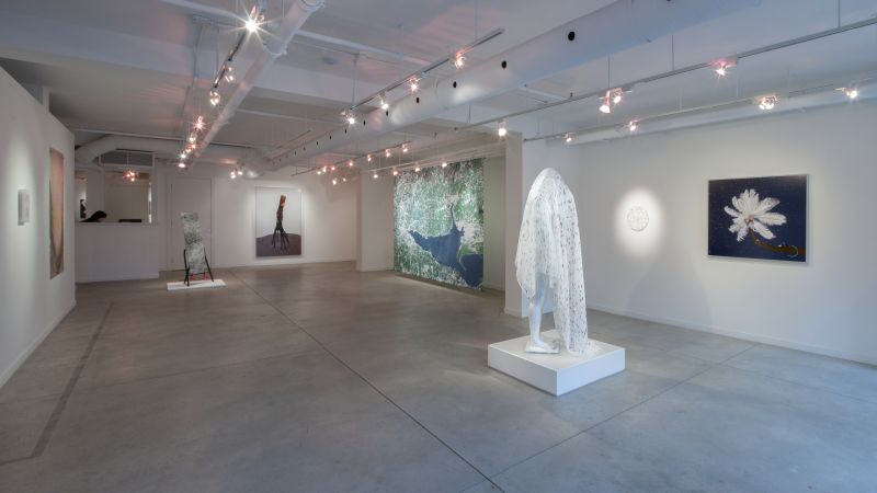 Installation view, Dry Pixels and Wet Molecules, 20131001 — Similar Image Object B, Mangrove Down, Mouth, Lichen, Nervous System Preserver, Feather Feeder