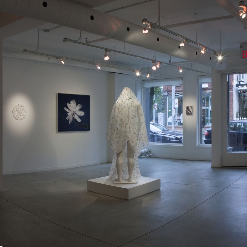 Installation view, Dry Pixels and Wet Molecules, 20131001 — Nervous System Preserver, Feather Feeder, Lichen, Shellfish Cells