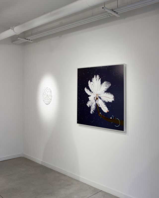 Alex Fischer, Nervous System Preserver, 20131017