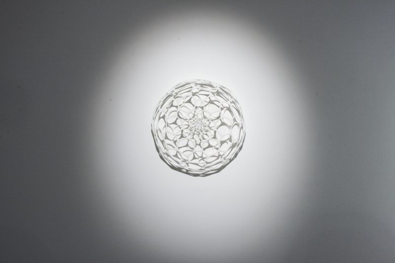 Alex Fischer, Nervous System Preserver, 20131017