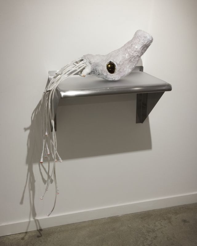 Alex Fischer, Ammonite, 20131017