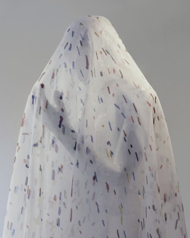 Alex Fischer, Lichen, 20131017
