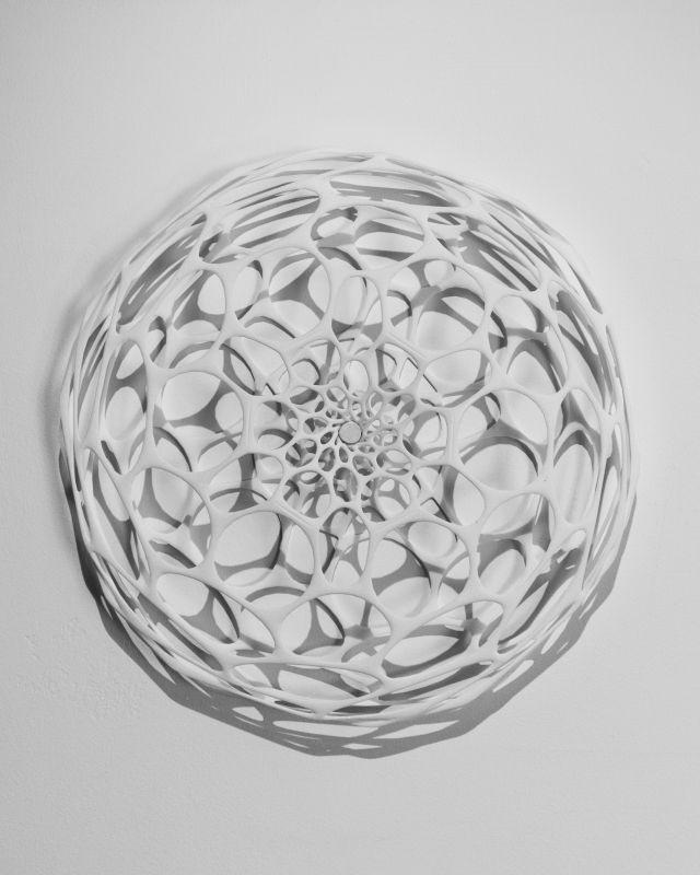Alex Fischer, Nervous System Preserver, 20131017