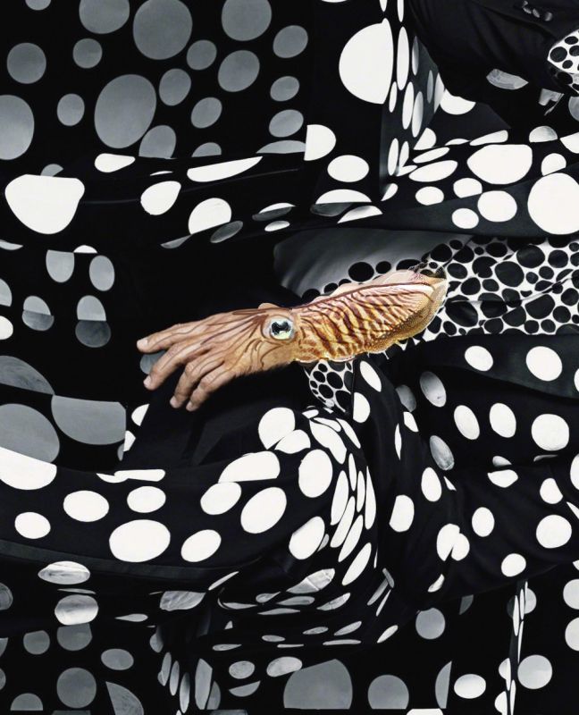 George's Cuttlefish, 20140317, digital image