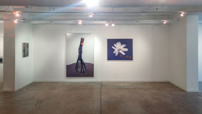 Installation view, The Collective, 20140301 — Mangrove Down, Feather Feeder