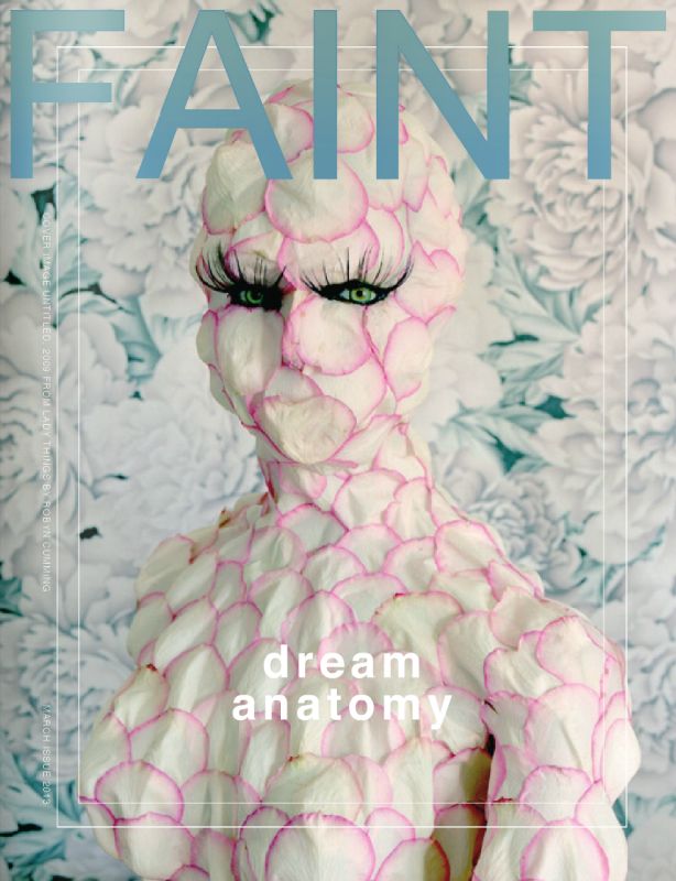 Installation view, Faint Magazine Interview, 20140401