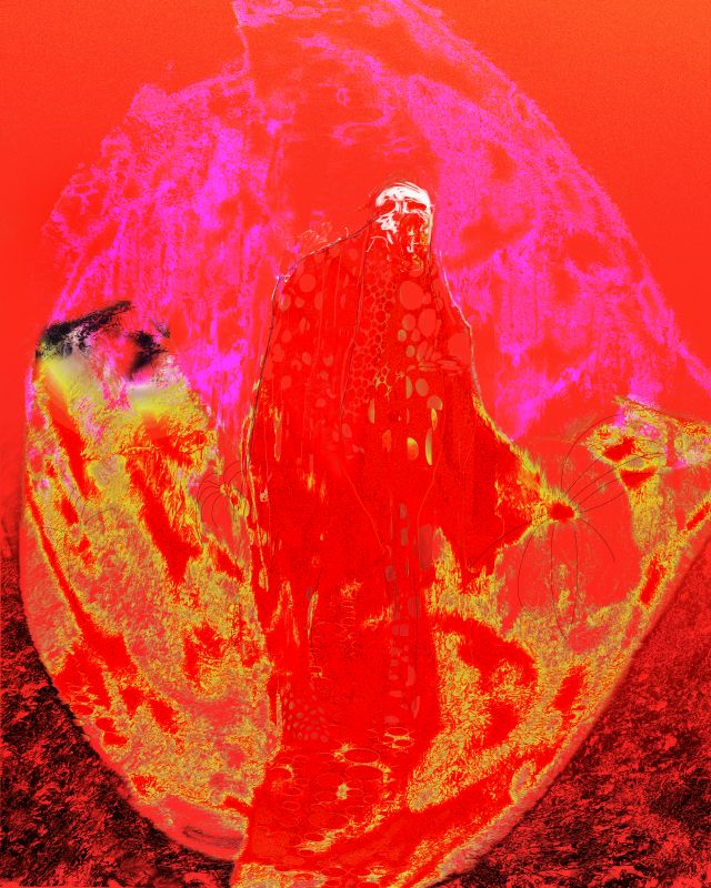 Red Lemon, 20141216, 30 × 24 in (762 × 610 mm), digital image of metallic lightjet