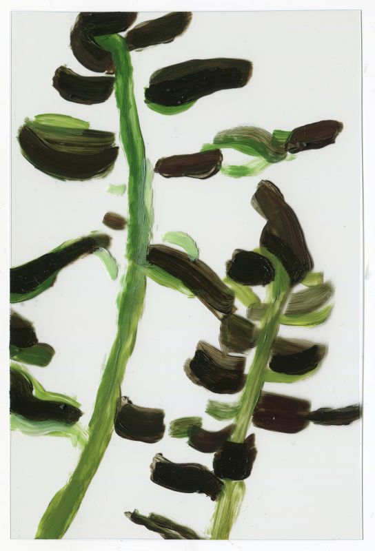 Installation view, 1 7 and 6000, 20150201