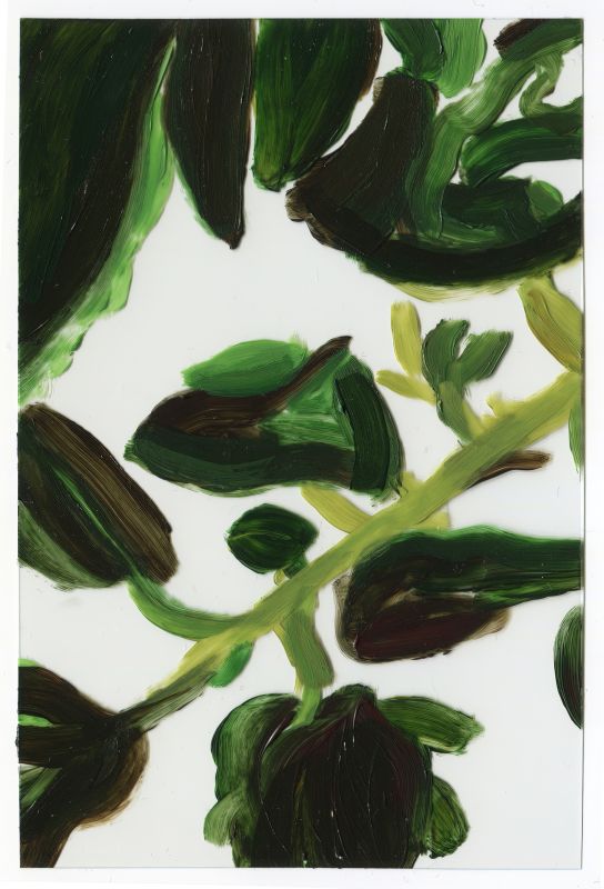 Installation view, 1 7 and 6000, 20150201