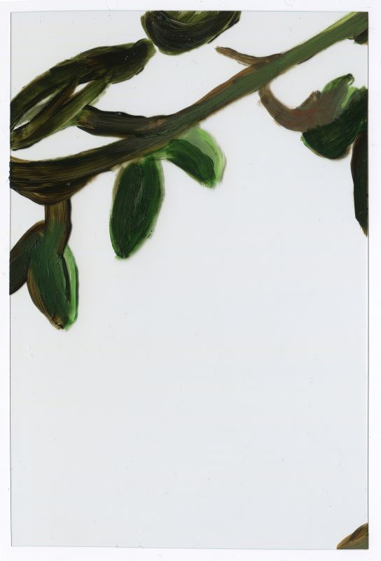 Installation view, 1 7 and 6000, 20150201
