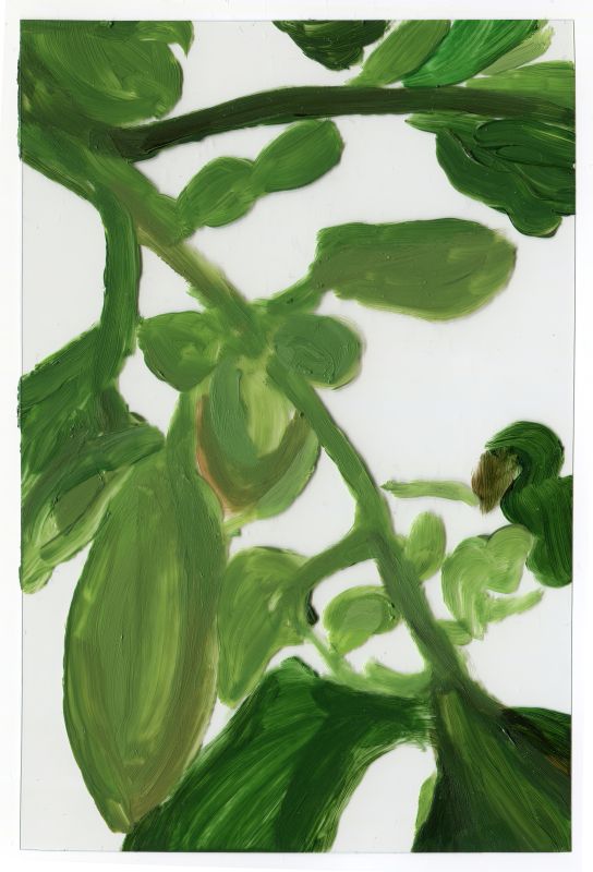 Installation view, 1 7 and 6000, 20150201